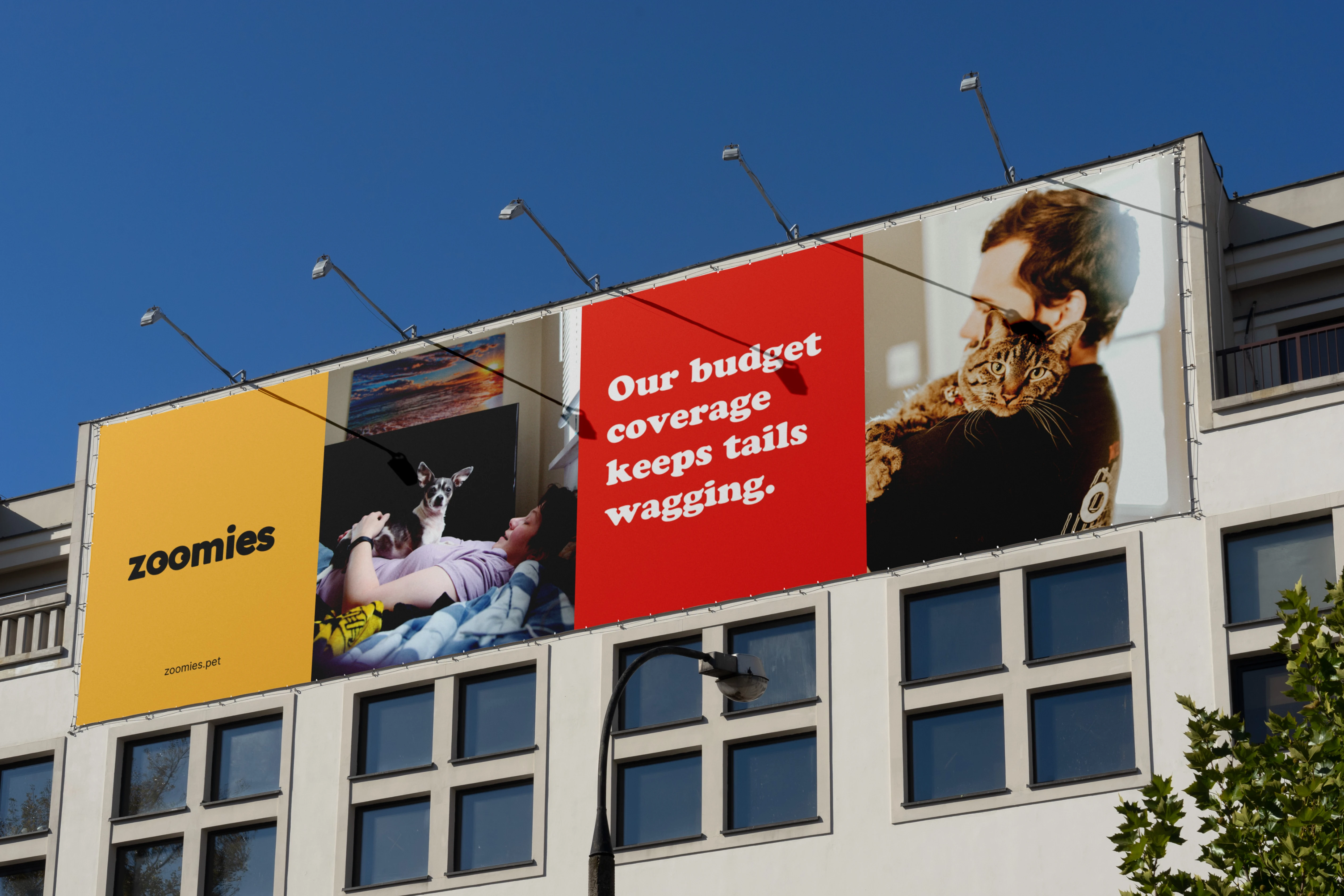 Zoomies — outdoor billboard campaign showing brand identity in context