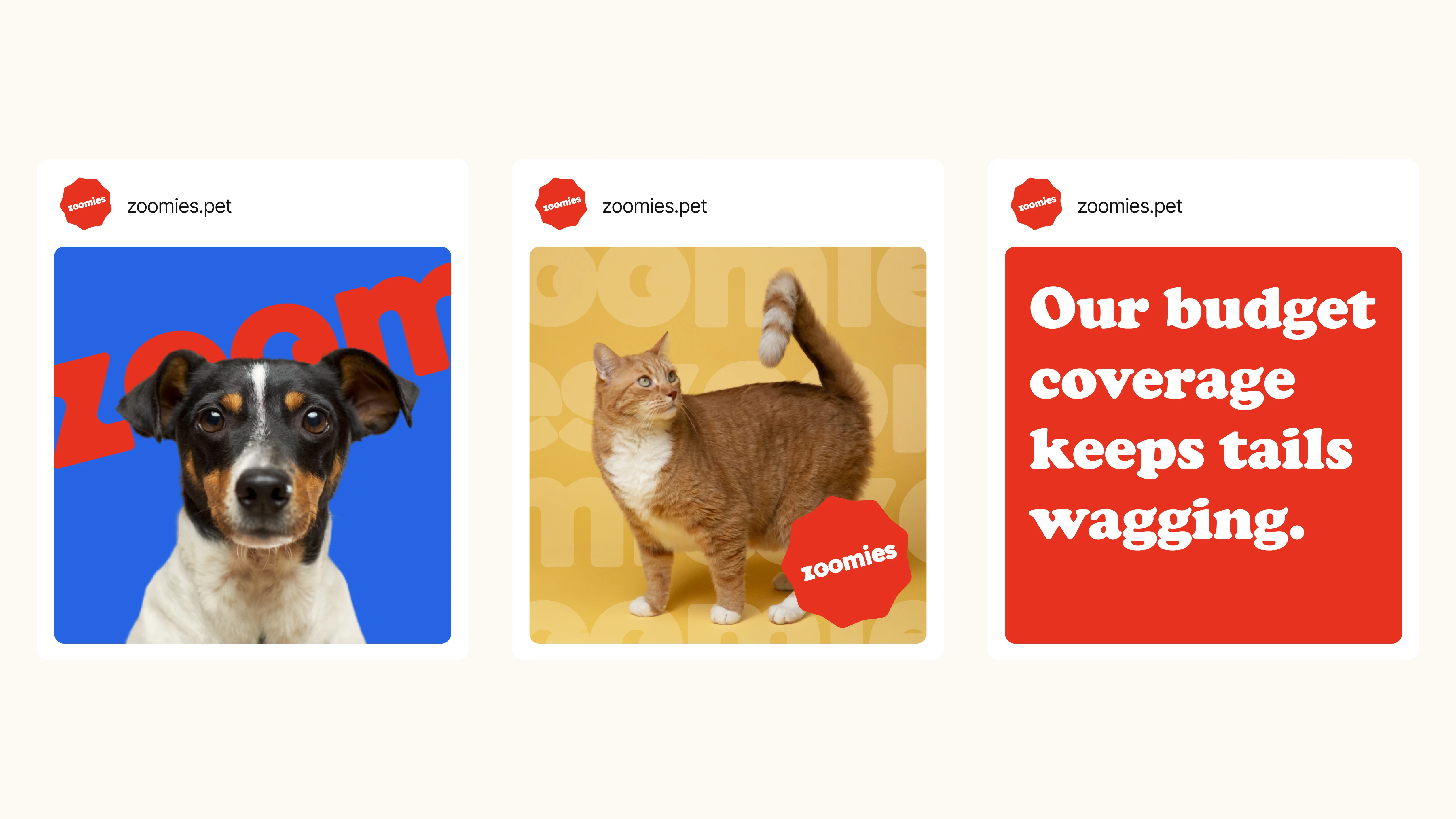 Zoomies — brand application